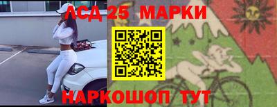 прущие крисы Будённовск