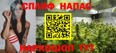 прущие крисы Будённовск