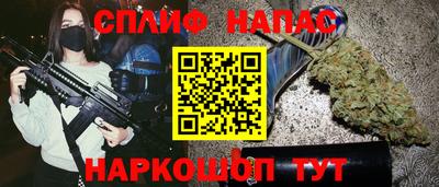 прущие крисы Будённовск