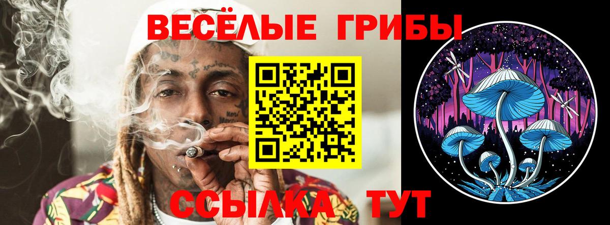 Галлюциногенные грибы MAGIC MUSHROOMS Новосибирск