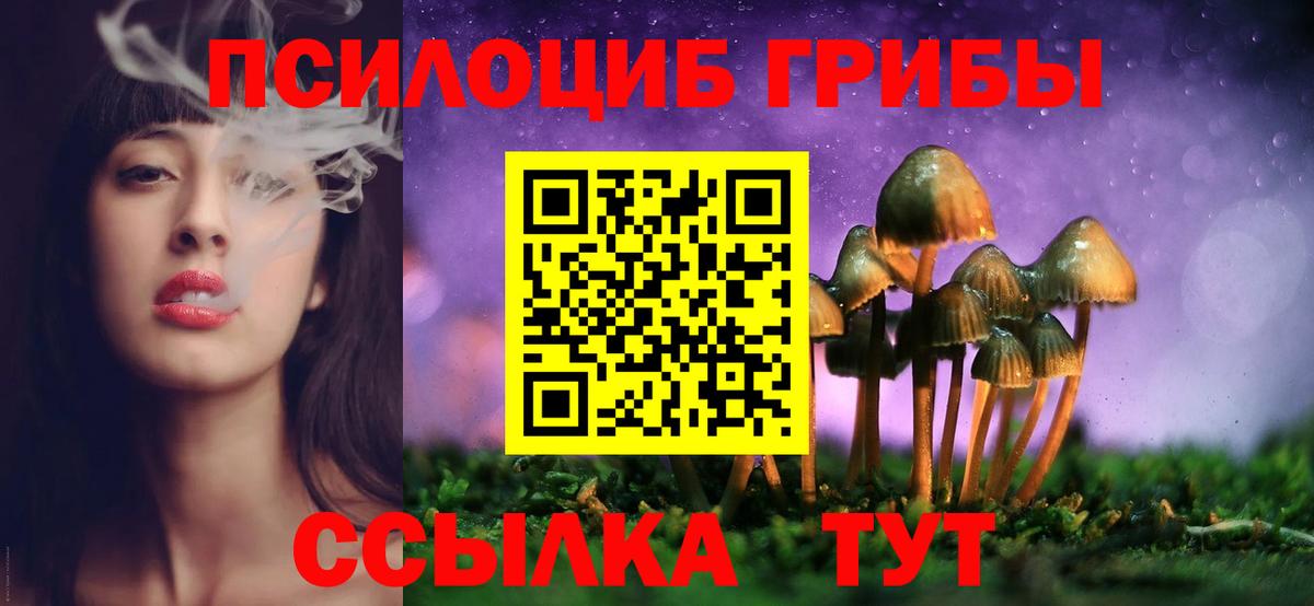 как найти закладки  Галлюциногенные грибы Psilocybine cubensis  Вход с VPN  Новосибирск 